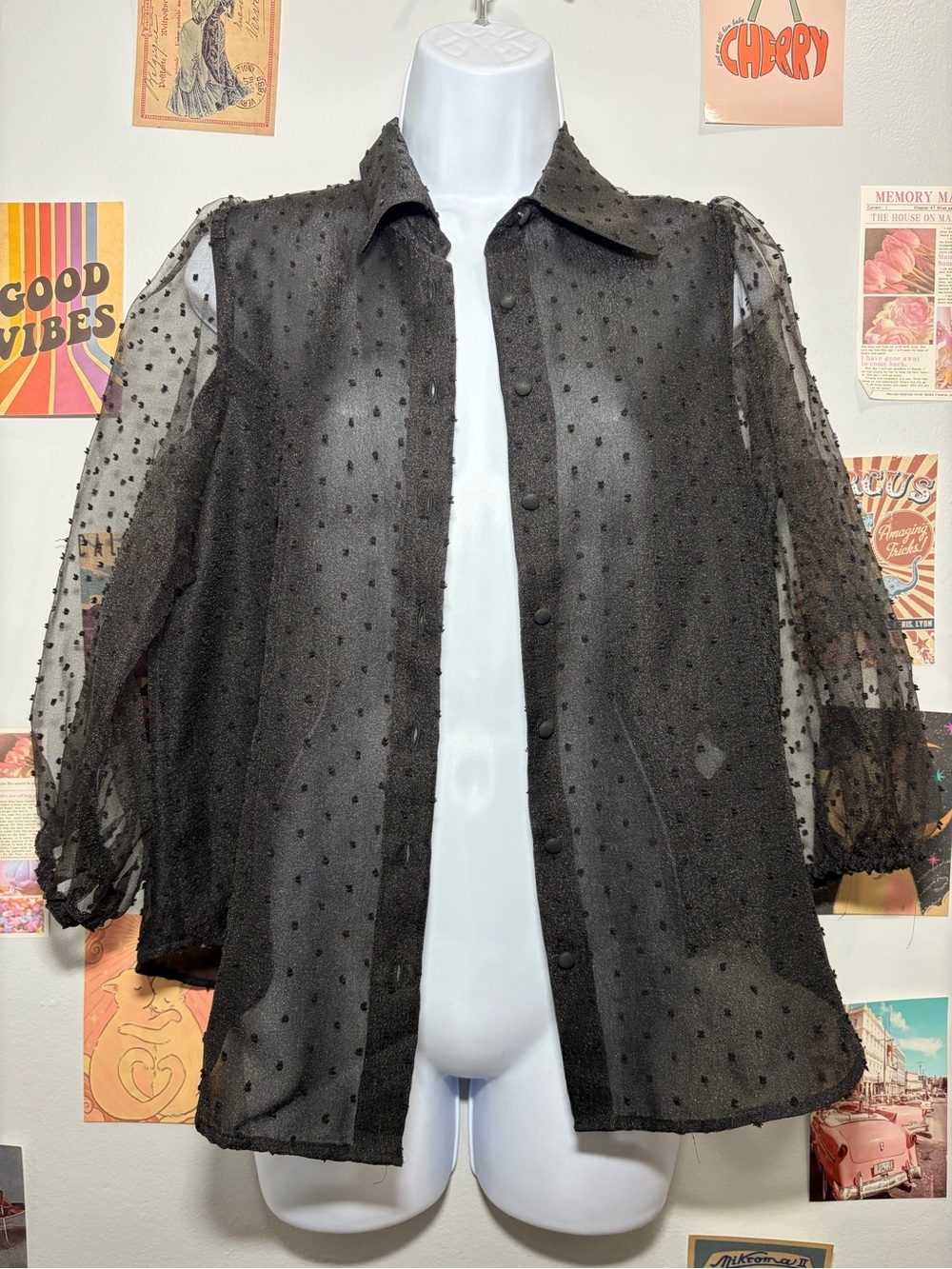 Sheer Black Dot-Textured Button Front Blouse